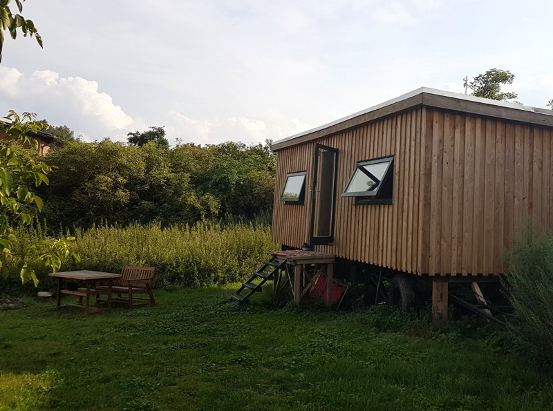 Ganzjährig am See, mit hoher Luftfeuchtigkeit.